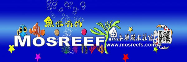 MOSREEF